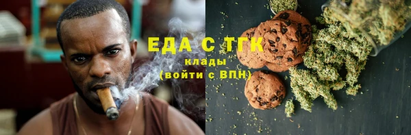 хмурый Ельня