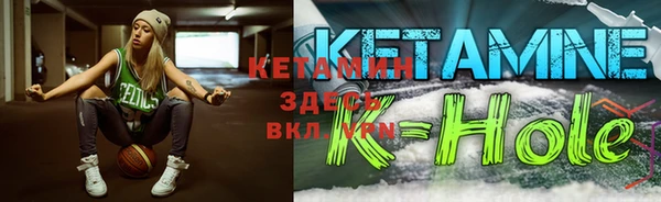 хмурый Ельня
