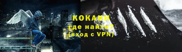 хмурый Ельня