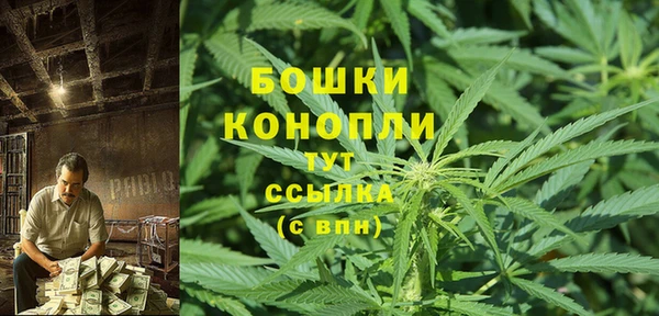 хмурый Ельня