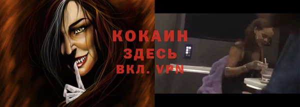 хмурый Ельня