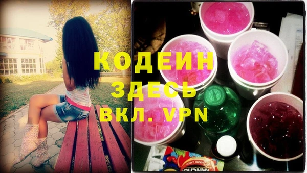 хмурый Ельня