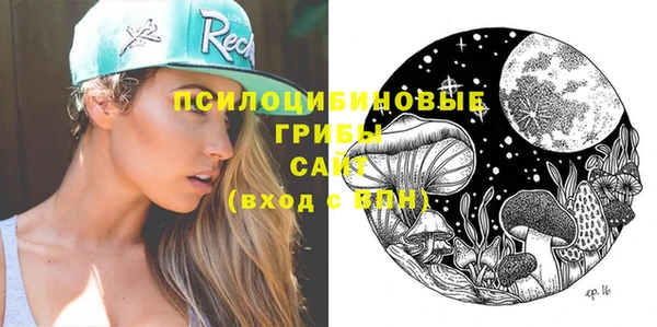 apvp Елизово