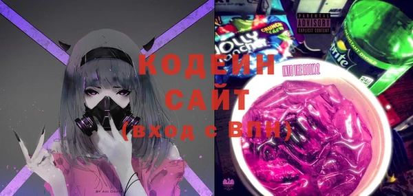 хмурый Ельня