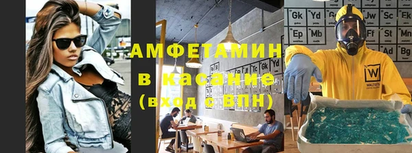 хмурый Ельня