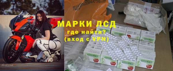 хмурый Ельня