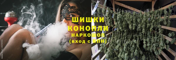 apvp Елизово