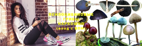 хмурый Ельня